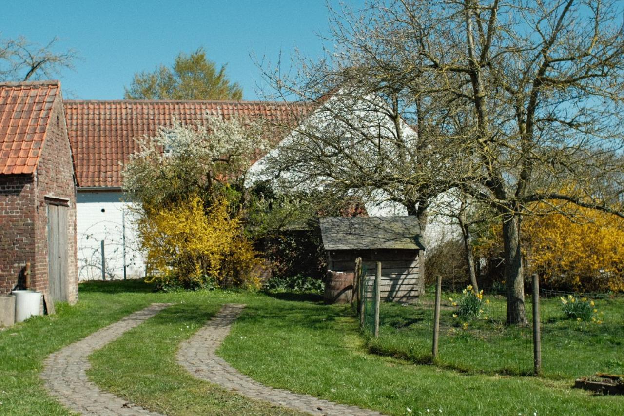 In Den Akker Villa Уденарде Екстериор снимка